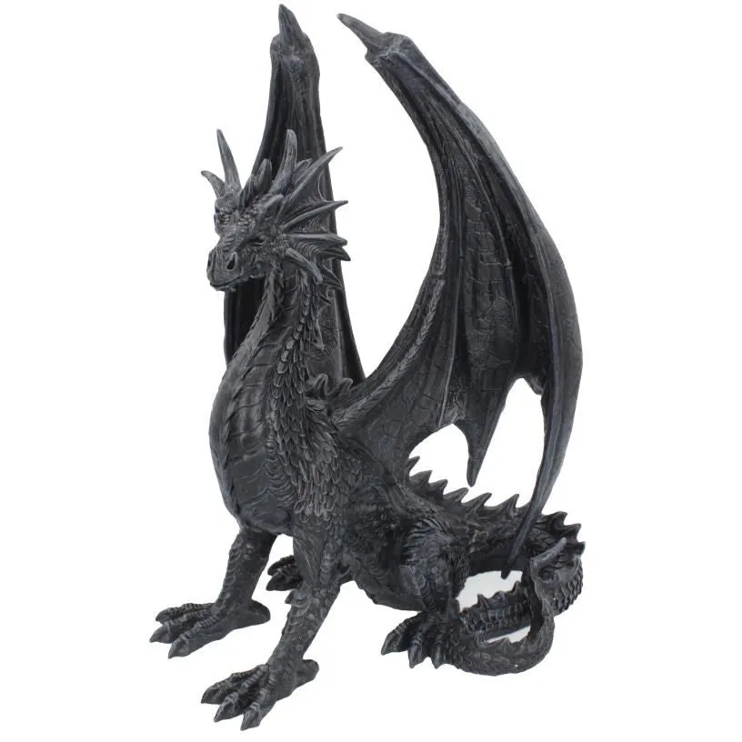 Black Wing Dragon