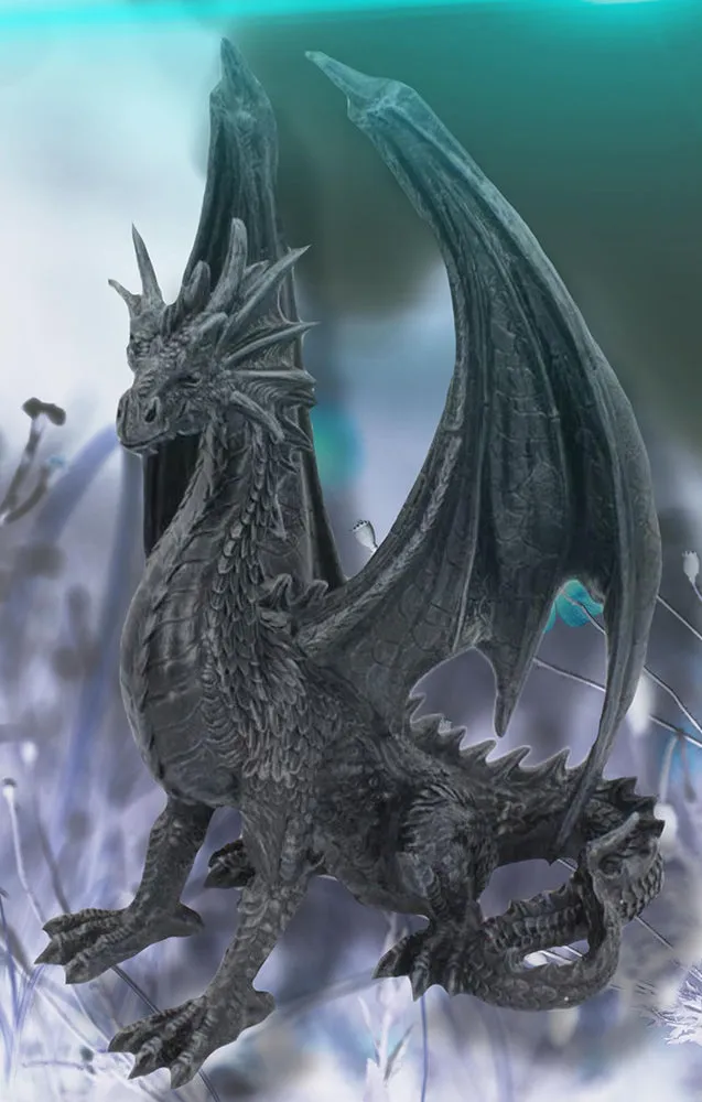 Black Wing Dragon