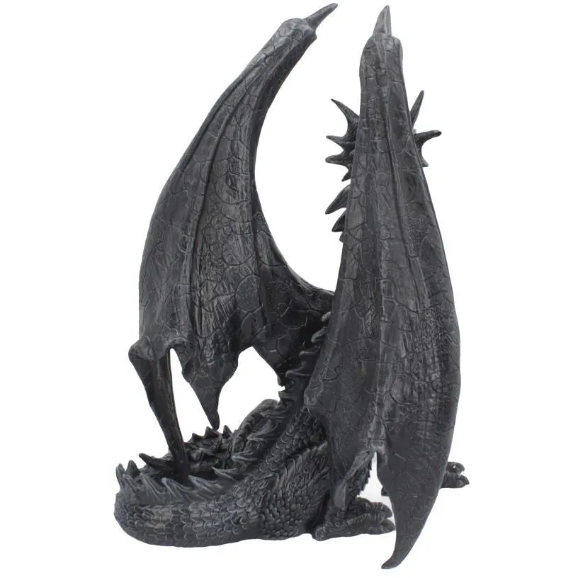 Black Wing Dragon