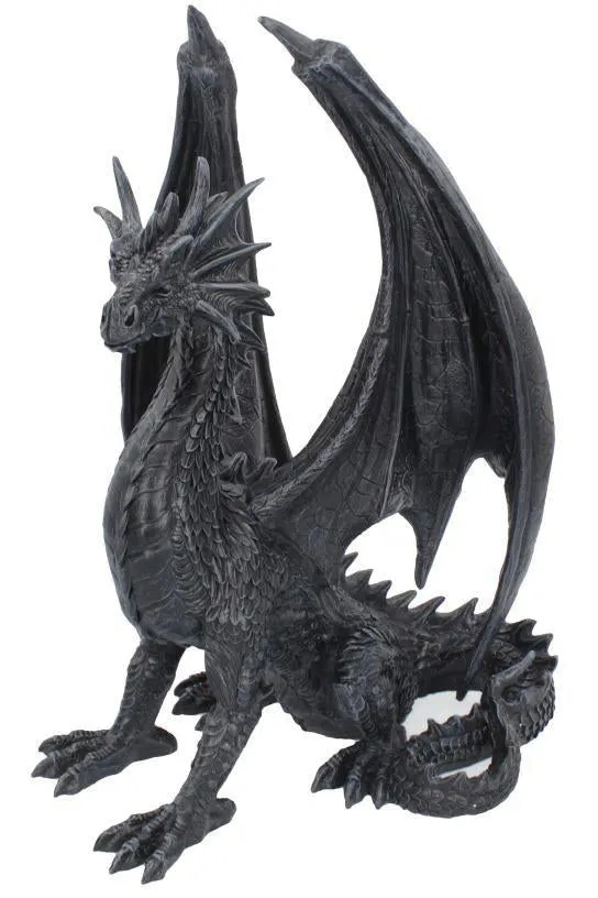 Black Wing Dragon