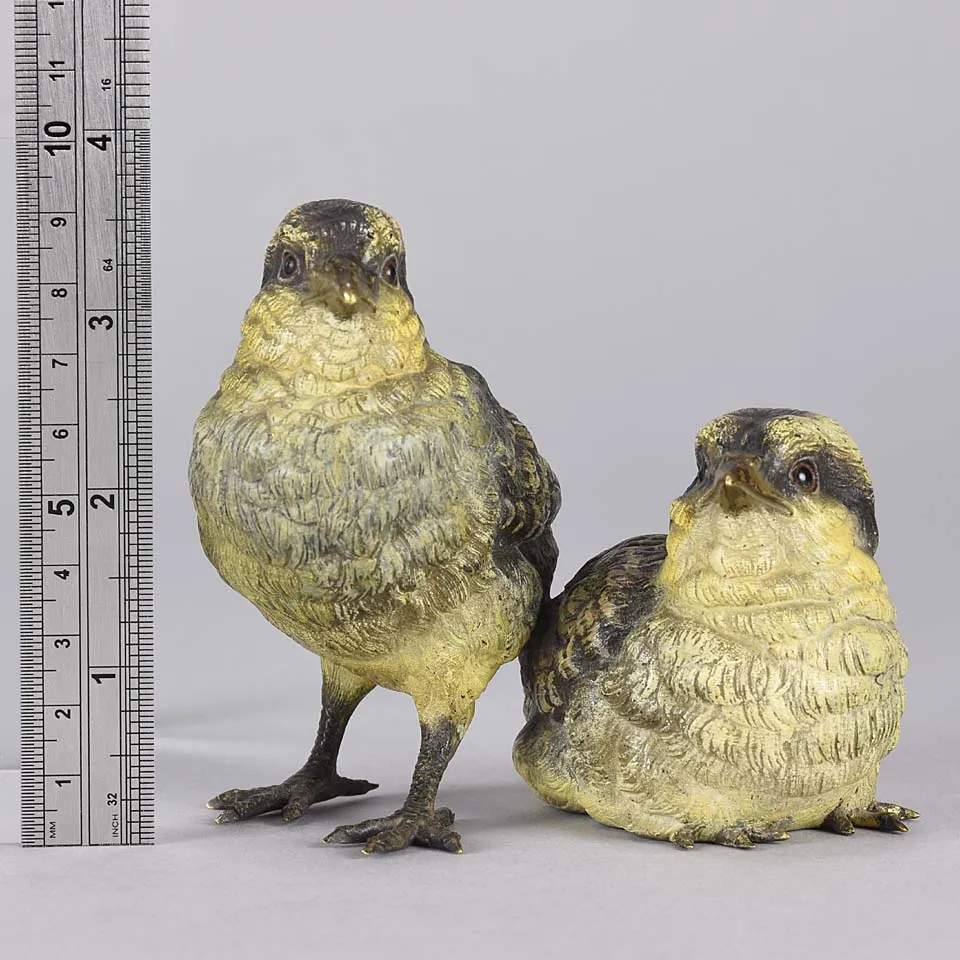 'Pair of Chicks' by Franz Bergman