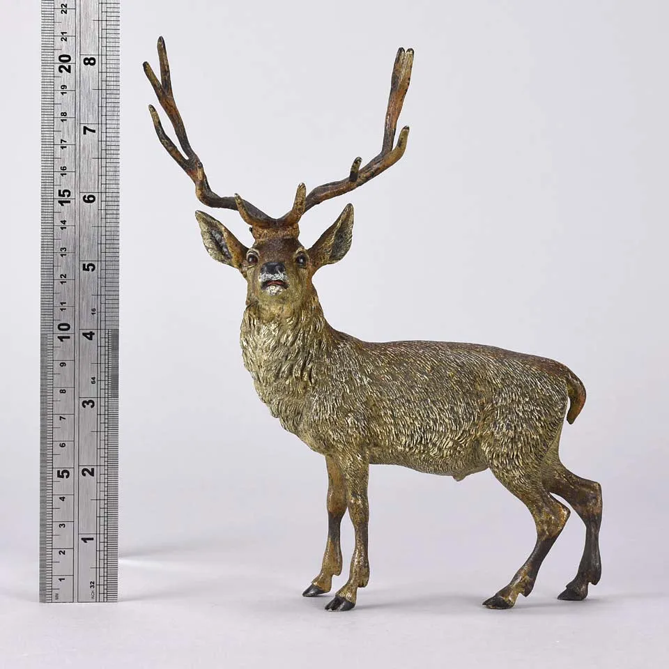 "Standing Stag" by Franz Bergman