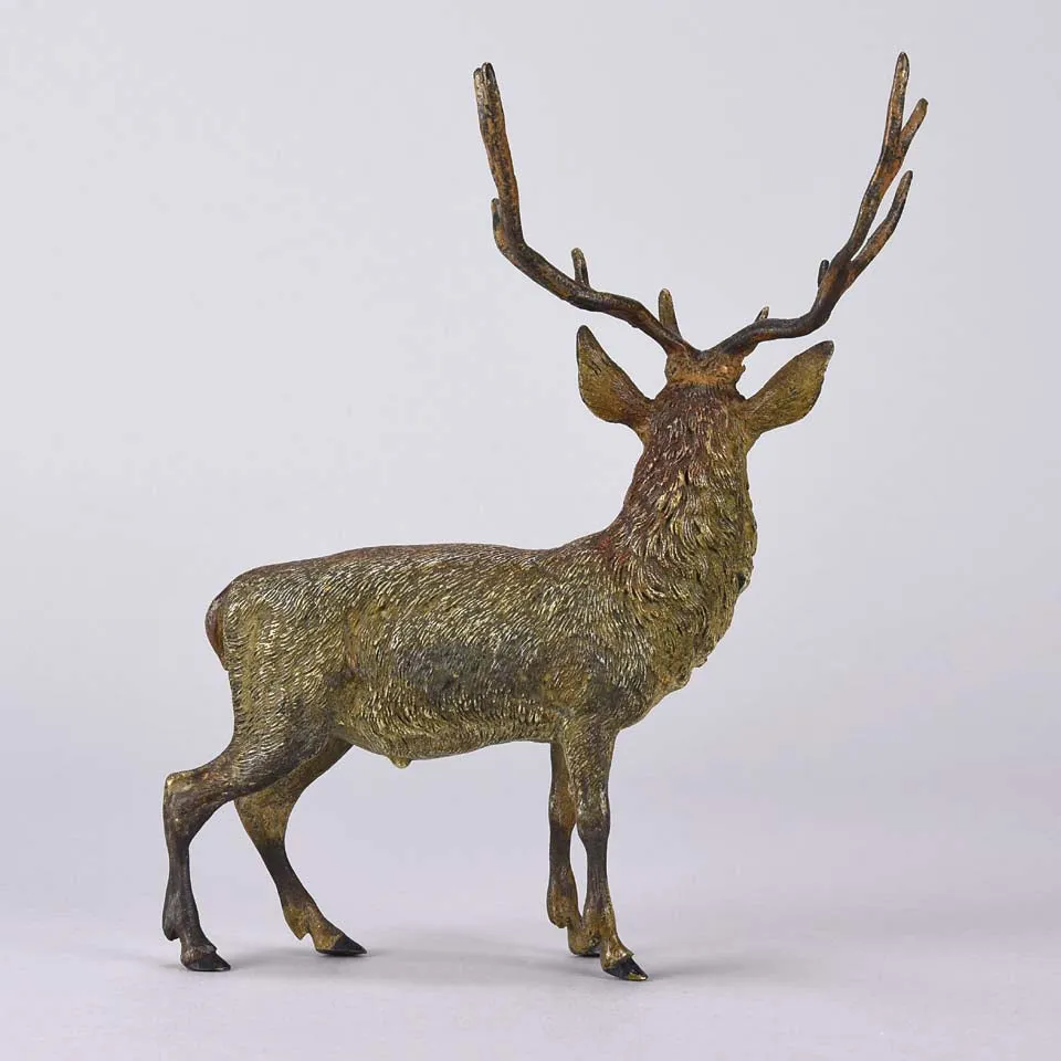 "Standing Stag" by Franz Bergman