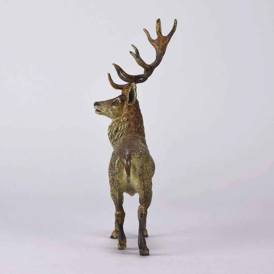"Standing Stag" by Franz Bergman