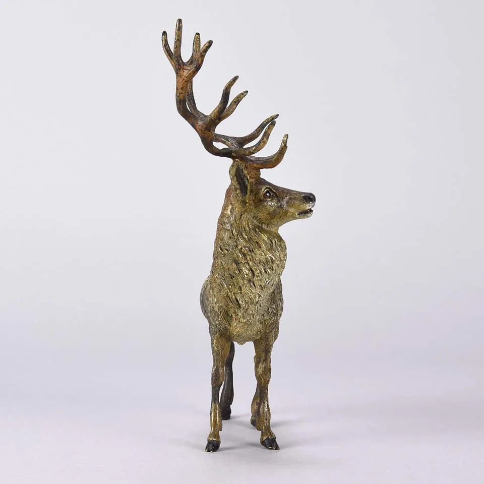 "Standing Stag" by Franz Bergman