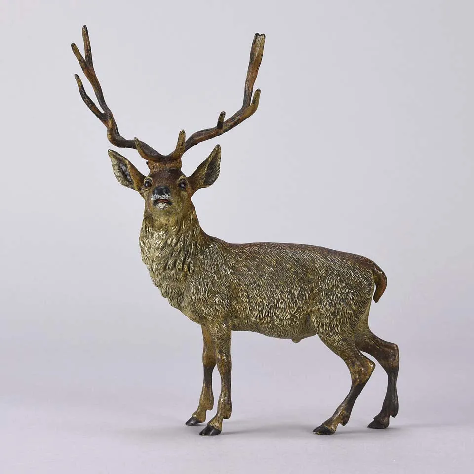 "Standing Stag" by Franz Bergman
