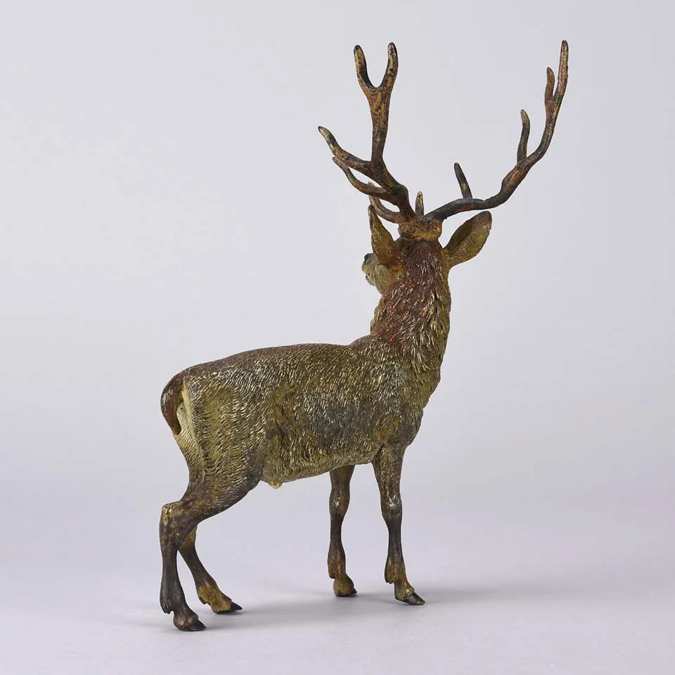 "Standing Stag" by Franz Bergman