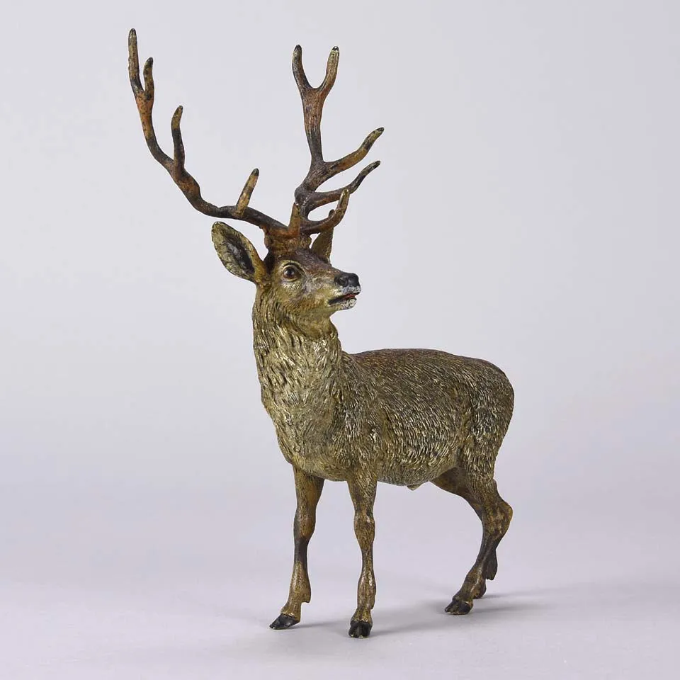 "Standing Stag" by Franz Bergman