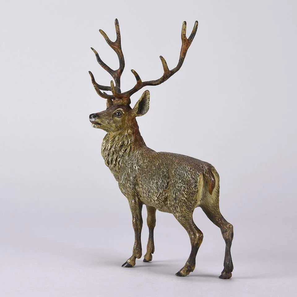"Standing Stag" by Franz Bergman