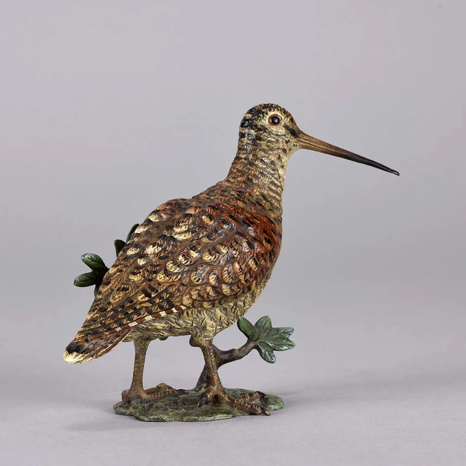 'Standing Woodcock' by Franz Bergman