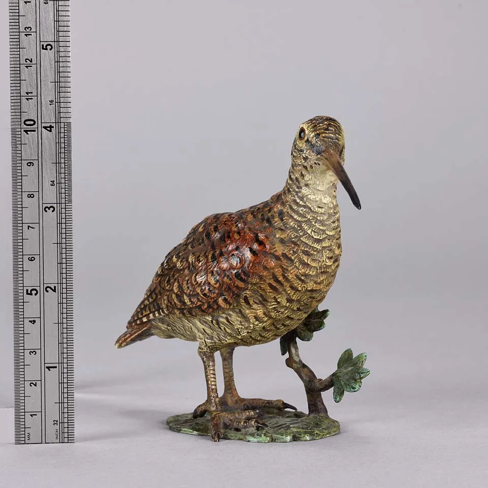 'Standing Woodcock' by Franz Bergman