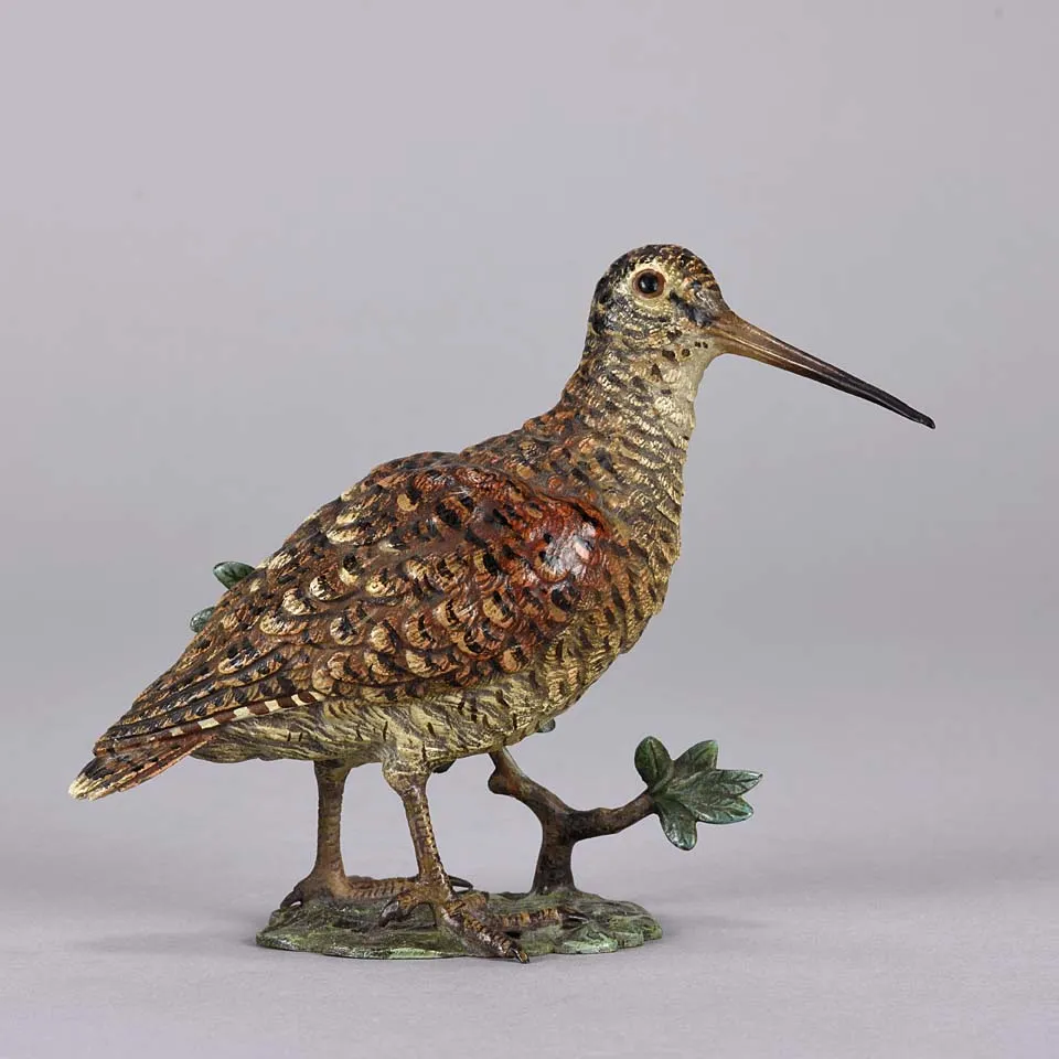 'Standing Woodcock' by Franz Bergman