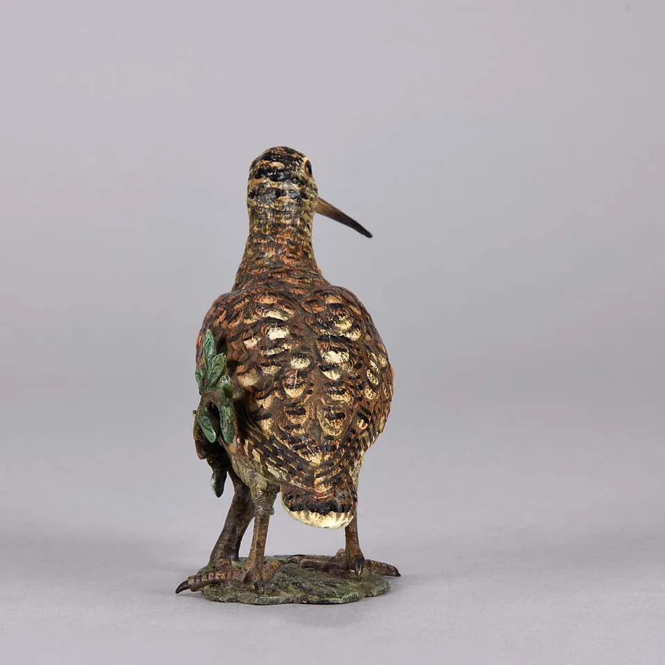 'Standing Woodcock' by Franz Bergman