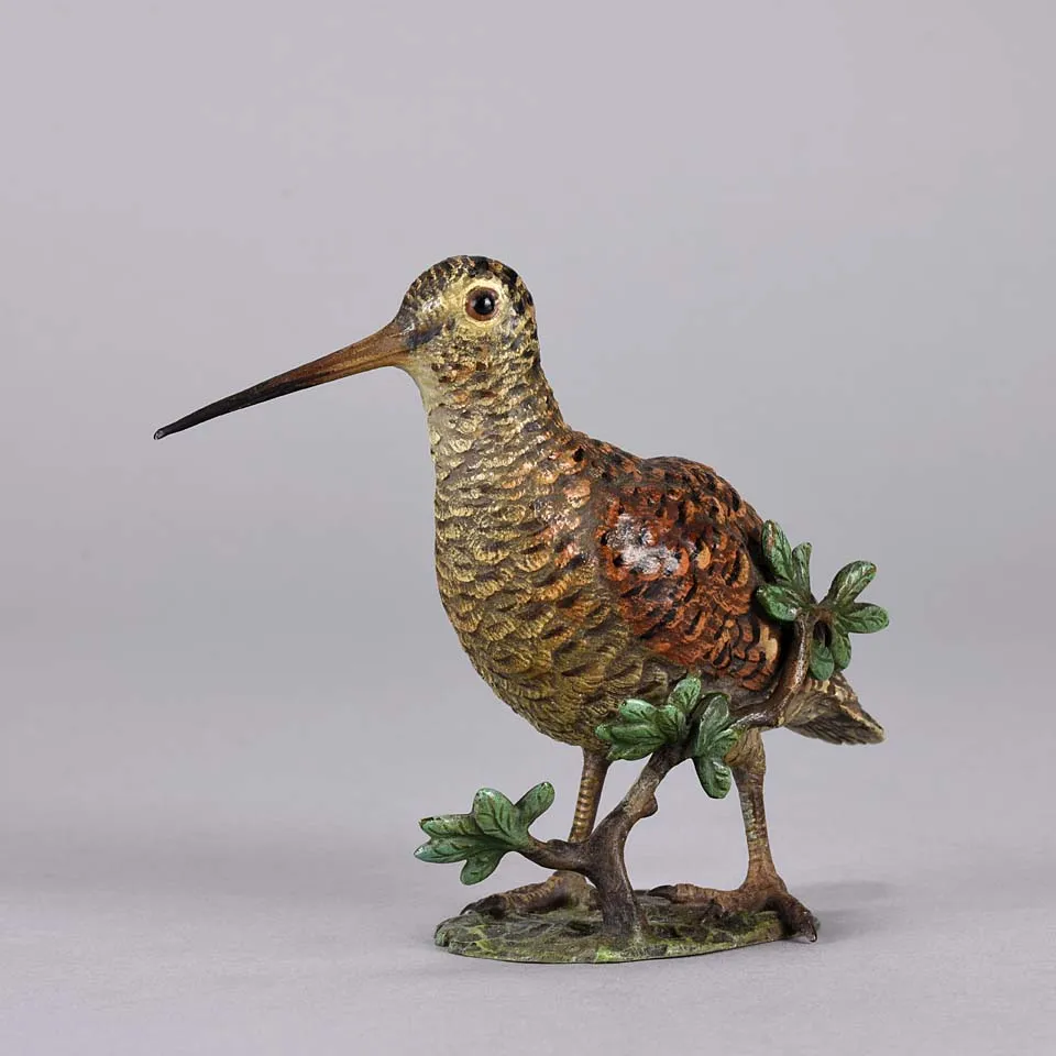 'Standing Woodcock' by Franz Bergman