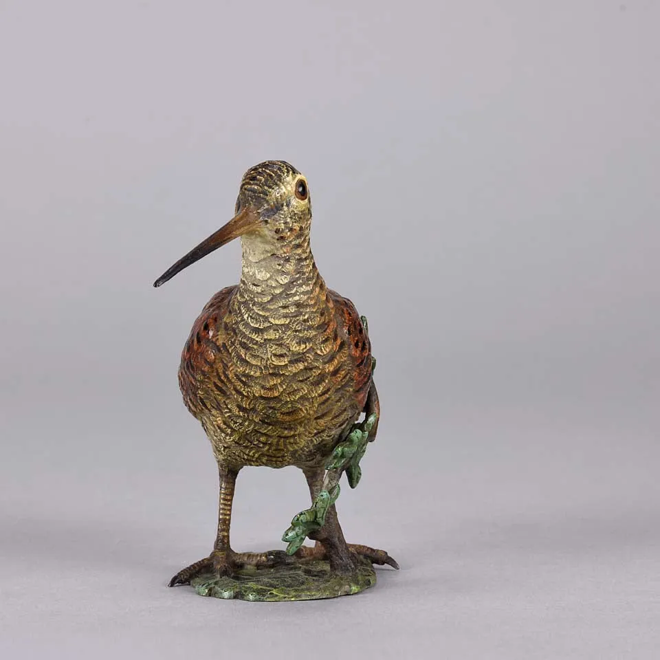 'Standing Woodcock' by Franz Bergman