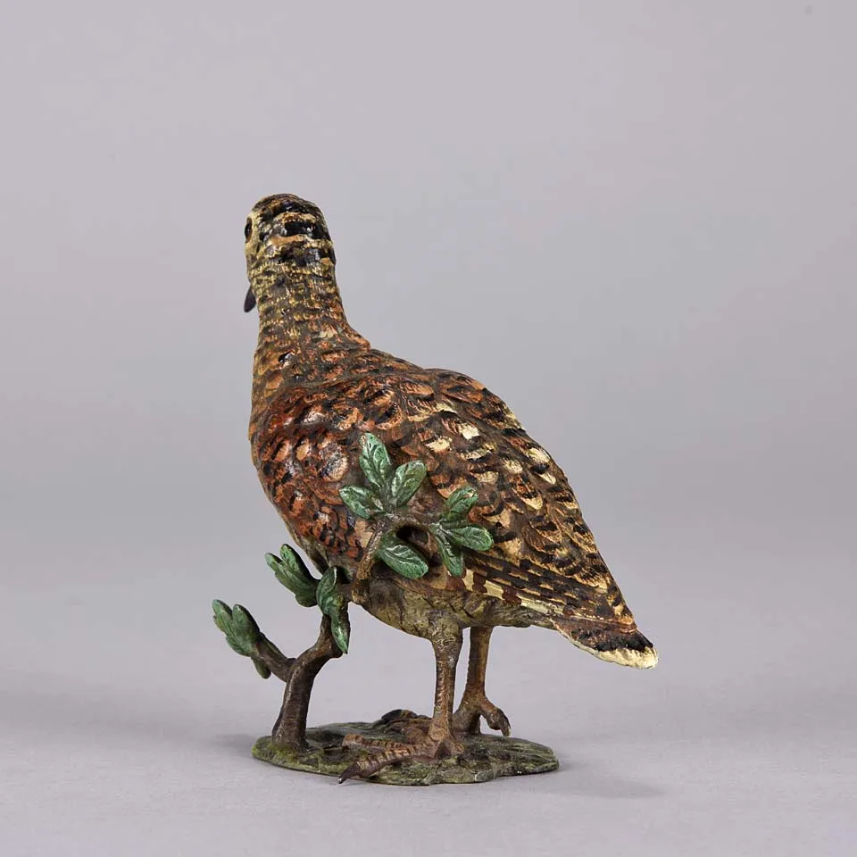 'Standing Woodcock' by Franz Bergman