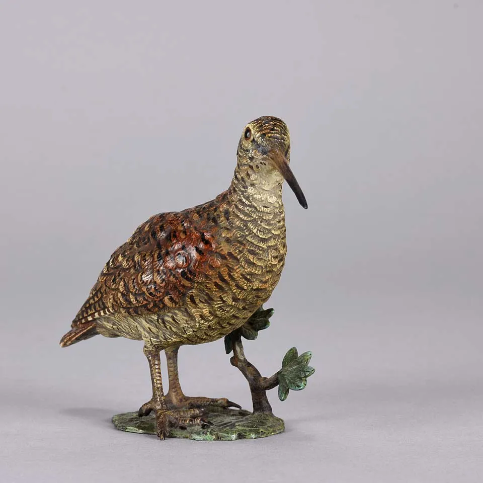 'Standing Woodcock' by Franz Bergman