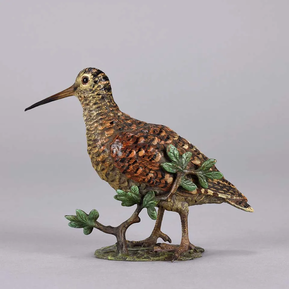 'Standing Woodcock' by Franz Bergman